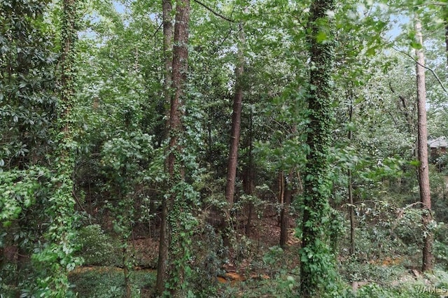 111 Arcadia Dr, Tuscaloosa, AL 35404 - photo 36