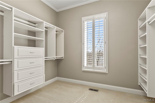 10416 Harbourtowne Dr, Northport, AL 35475 - spacious closet with light colored carpet