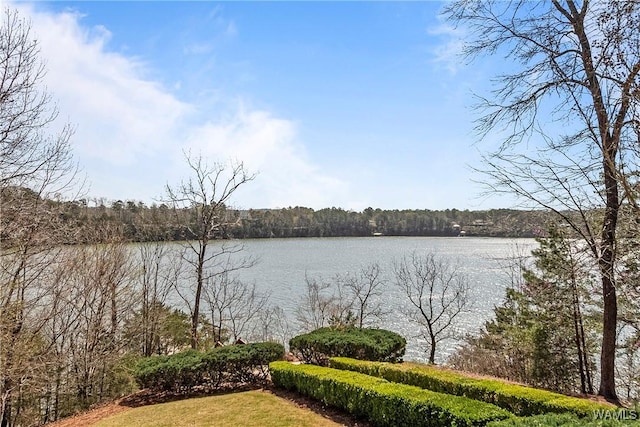 10416 Harbourtowne Dr, Northport, AL 35475 - water view featuring a forest