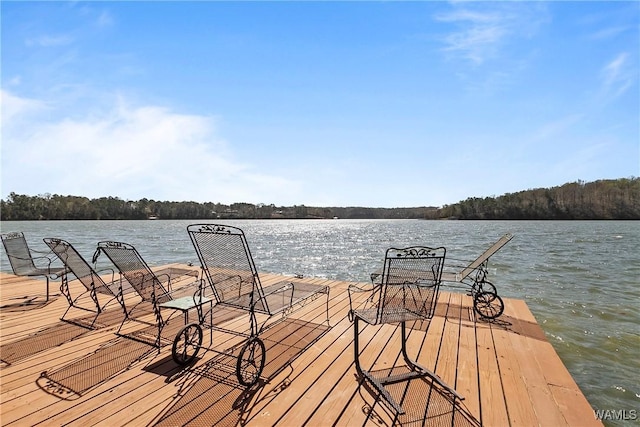 10416 Harbourtowne Dr, Northport, AL 35475 - dock area with a water view