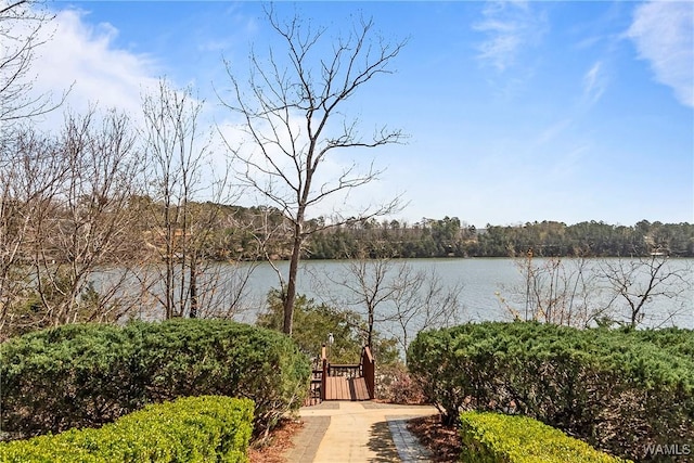 10416 Harbourtowne Dr, Northport, AL 35475 - water view with a gate