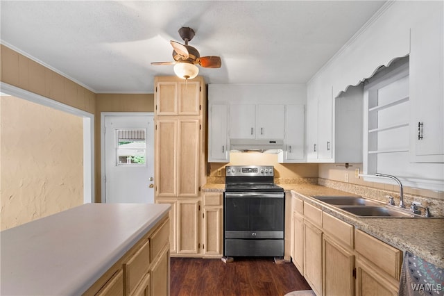 kitchen featuring dark hardwood / wood-style flooring, stainless steel appliances, ornamental molding, and sink