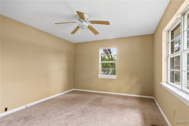 spare room with ceiling fan and carpet floors