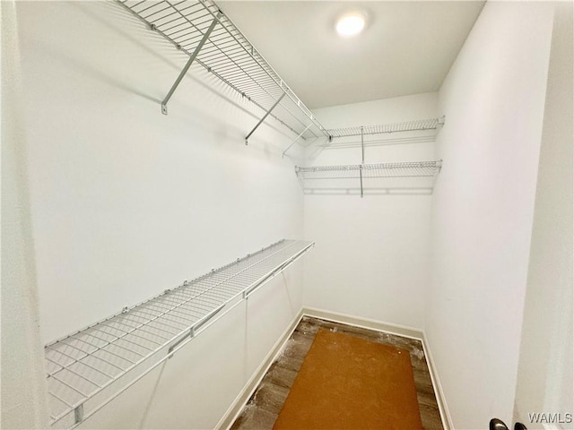 view of walk in closet