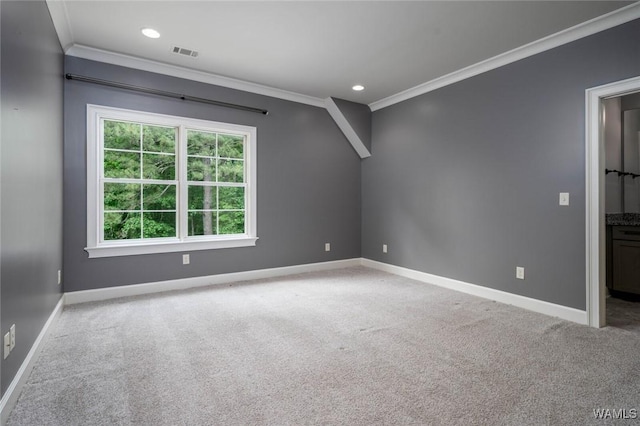 additional living space featuring carpet floors, baseboards, and visible vents