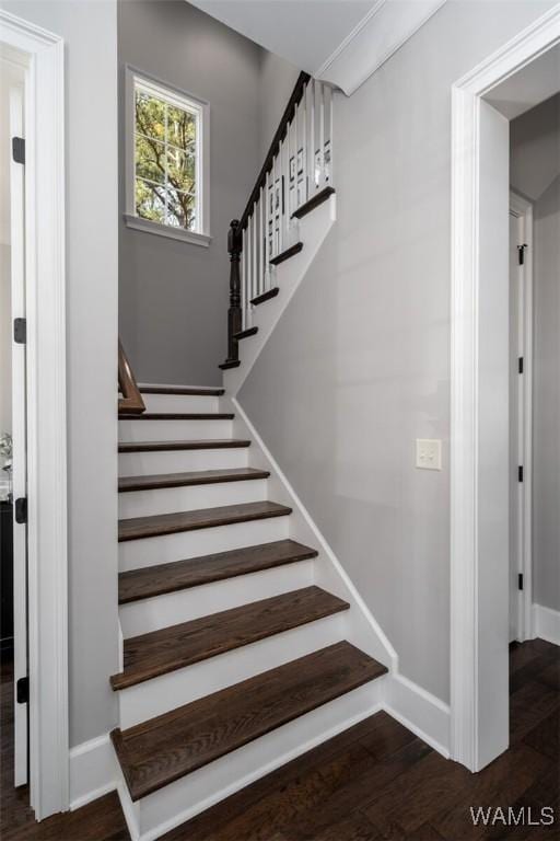 stairway featuring wood-type flooring