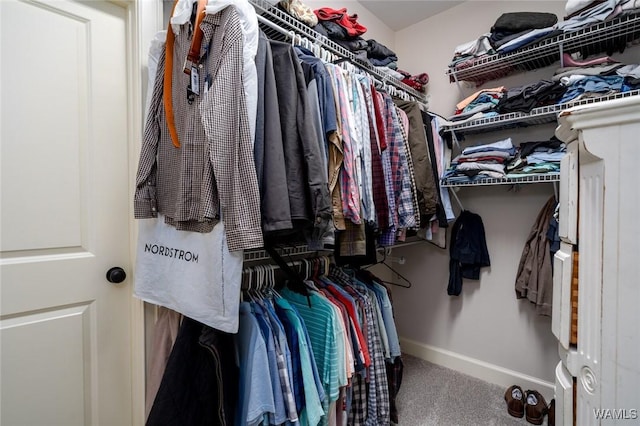 spacious closet with carpet