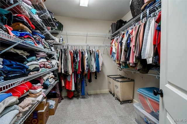 walk in closet with light carpet