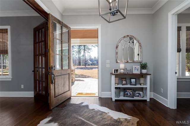 entrance foyer featuring crown molding, plenty of natural light, and dark wood-type flooring