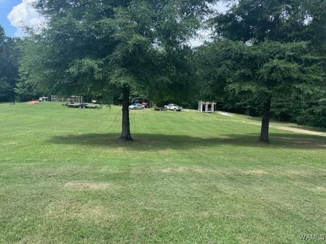 930 Pine Tree Rd, Centreville, AL 35042 - view of grassy yard