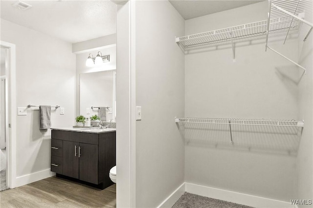 680 6th Ave NE Unit 3310, Tuscaloosa, AL 35404 - bathroom featuring baseboards, vanity, wood finished floors, and a spacious closet