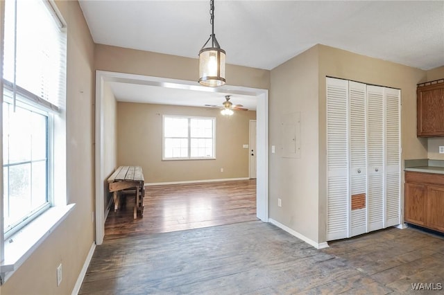 kitchen with hanging light fixtures, dark hardwood / wood-style floors, and ceiling fan