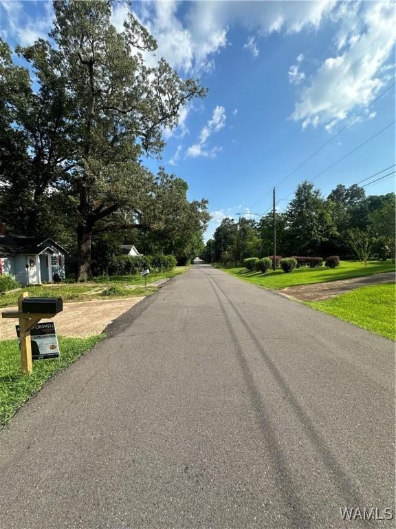 604 1st St NE, Aliceville, AL 35442 - photo 3