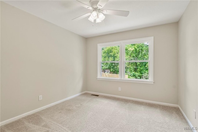 3008 Green Grove Ln NE, Tuscaloosa, AL 35404 - photo 24