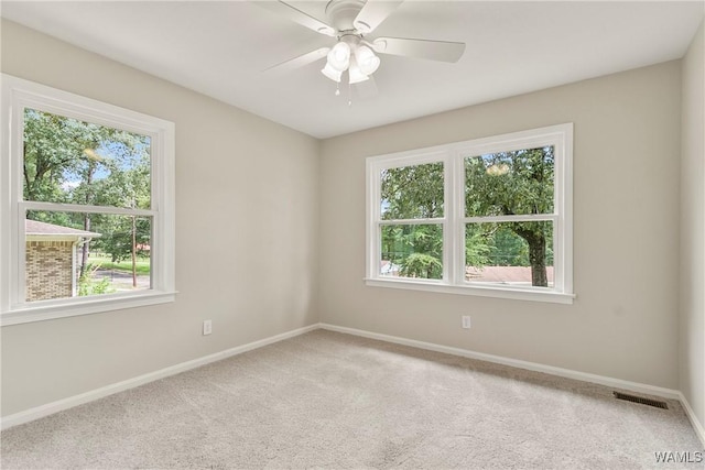 3008 Green Grove Ln NE, Tuscaloosa, AL 35404 - photo 22