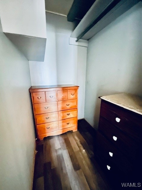 walk in closet featuring hardwood / wood-style flooring