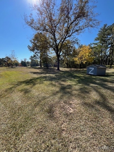 view of yard with a shed