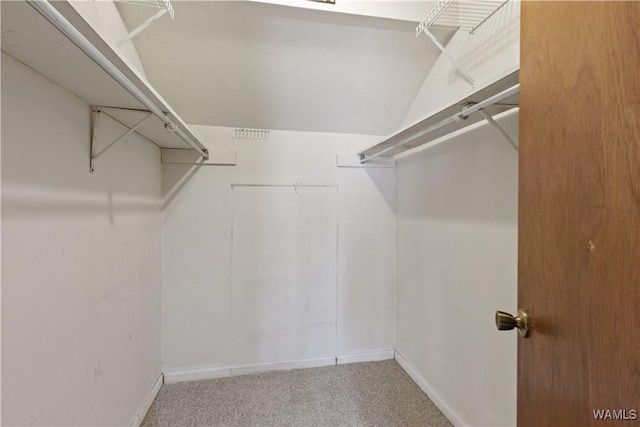 spacious closet featuring carpet flooring