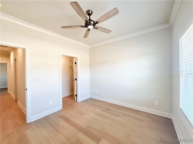 unfurnished bedroom with a walk in closet, a closet, ornamental molding, light wood-type flooring, and ceiling fan