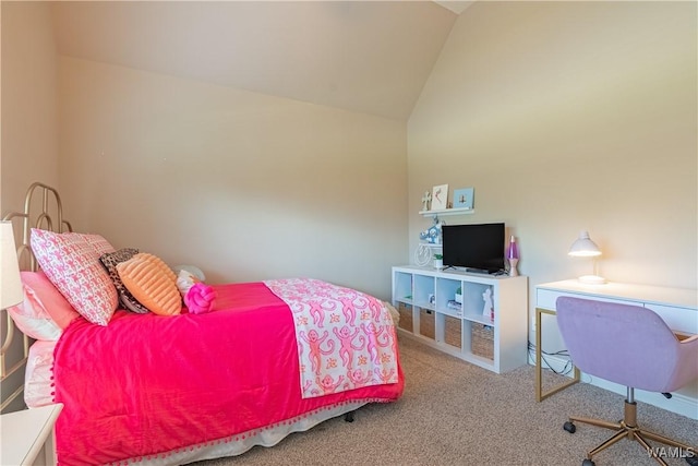 3309 Magazine St, Tuscaloosa, AL 35406 - photo 5