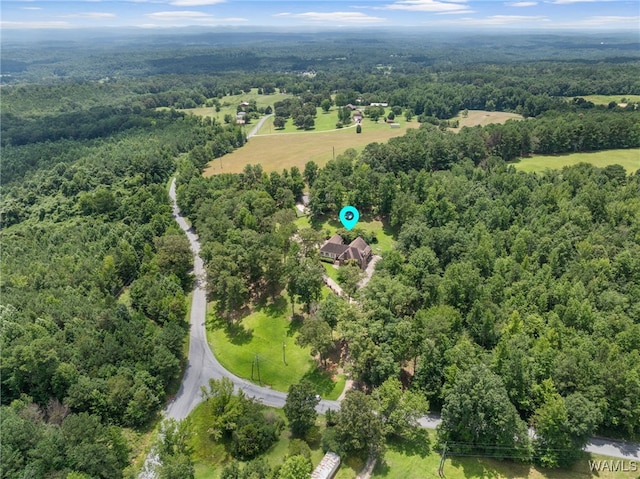 4184 Graves Gap Rd, Hayden, AL 35079 - drone / aerial view of a heavily wooded area