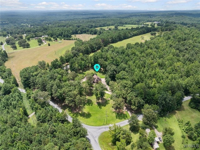 4184 Graves Gap Rd, Hayden, AL 35079 - drone / aerial view of a forest