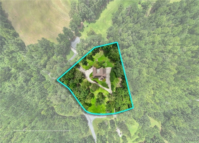 4184 Graves Gap Rd, Hayden, AL 35079 - map / location featuring property parcel outlined