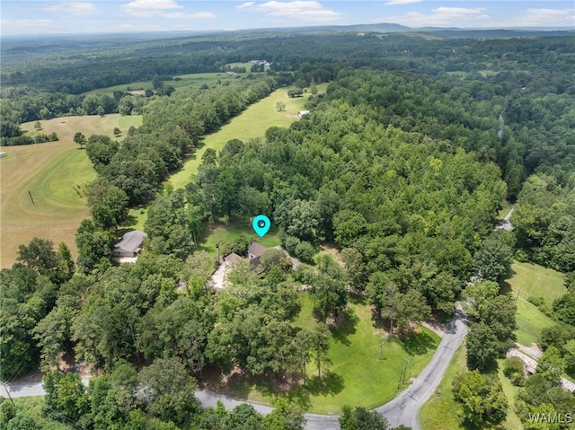 4184 Graves Gap Rd, Hayden, AL 35079 - aerial view of a heavily wooded area
