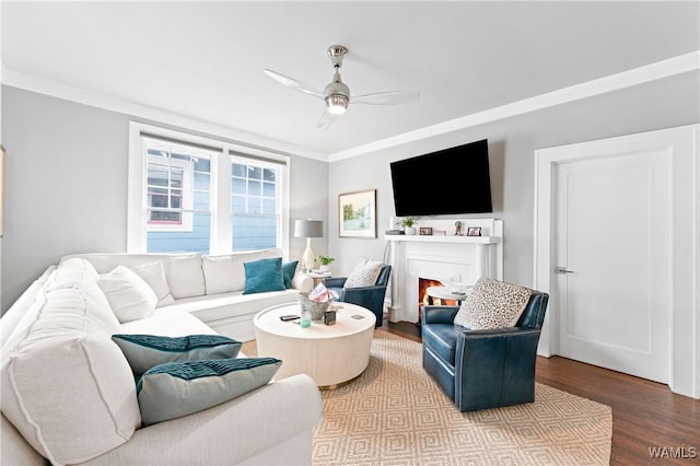 living room featuring ceiling fan, a lit fireplace, ornamental molding, and wood finished floors