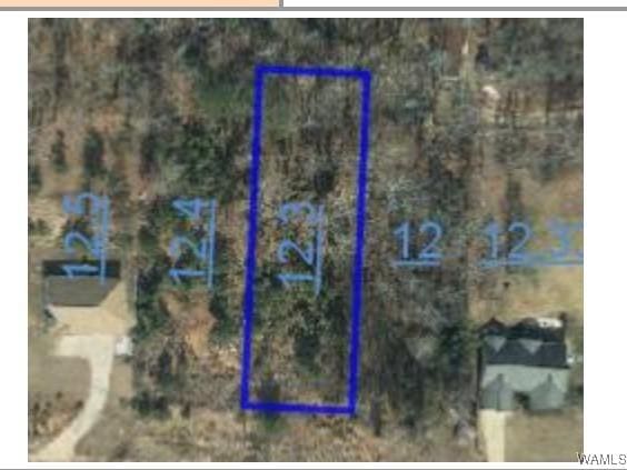 5522 Torri Park Dr, Cottondale AL, 35453 land for sale