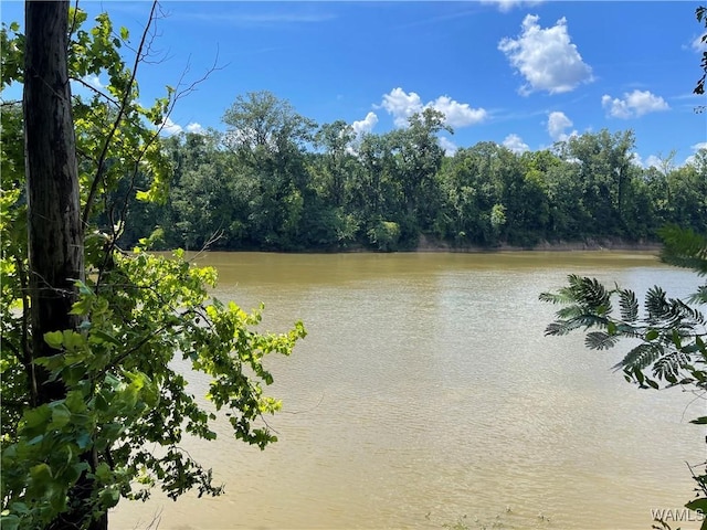195 Riverview Beach Rd, Moundville, AL 35474 - photo 9