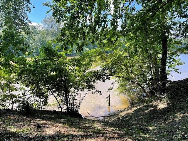 195 Riverview Beach Rd, Moundville, AL 35474 - photo 7