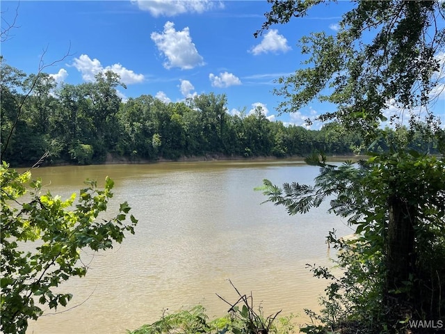 195 Riverview Beach Rd, Moundville, AL 35474 - photo 1