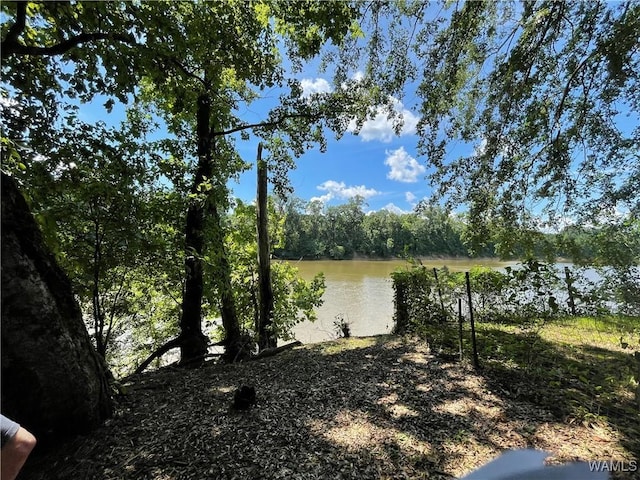 195 Riverview Beach Rd, Moundville, AL 35474 - photo 2