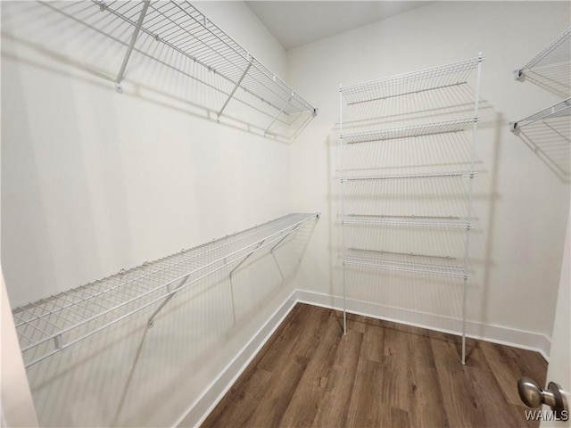 195 Lecroy Cir, Brent, AL 35034 - walk in closet with dark wood finished floors