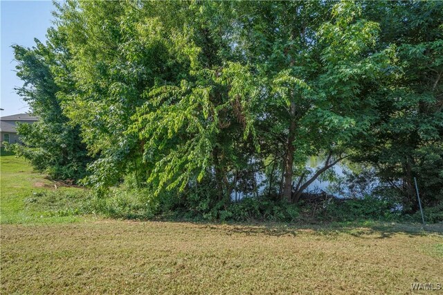 12580 Waterbury Way, Moundville, AL 35474 - photo 21
