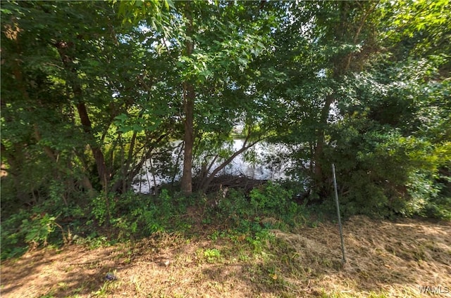 12580 Waterbury Way, Moundville, AL 35474 - photo 22