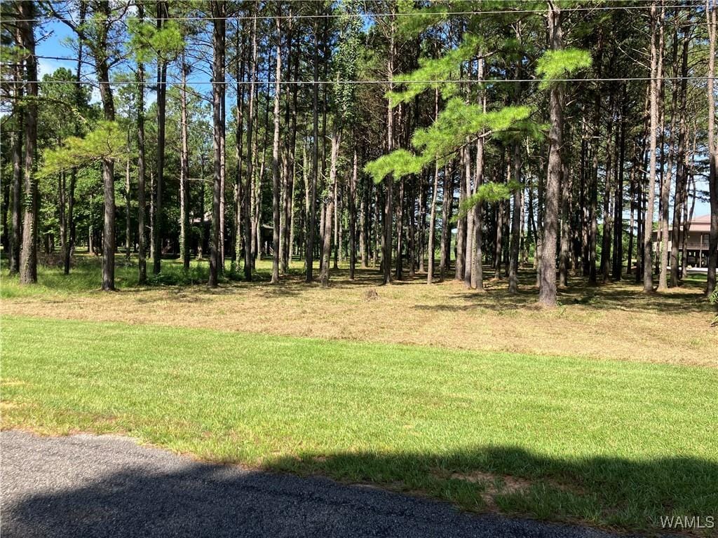 LOT21 Cypress Point Dr, Akron, AL 35441 - photo 1