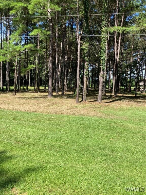 LOT21 Cypress Point Dr, Akron, AL 35441 - photo 2