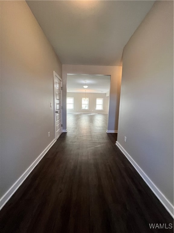 hallway with dark wood-type flooring