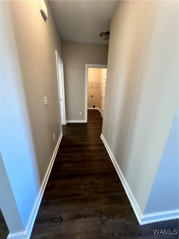 hall featuring dark hardwood / wood-style floors