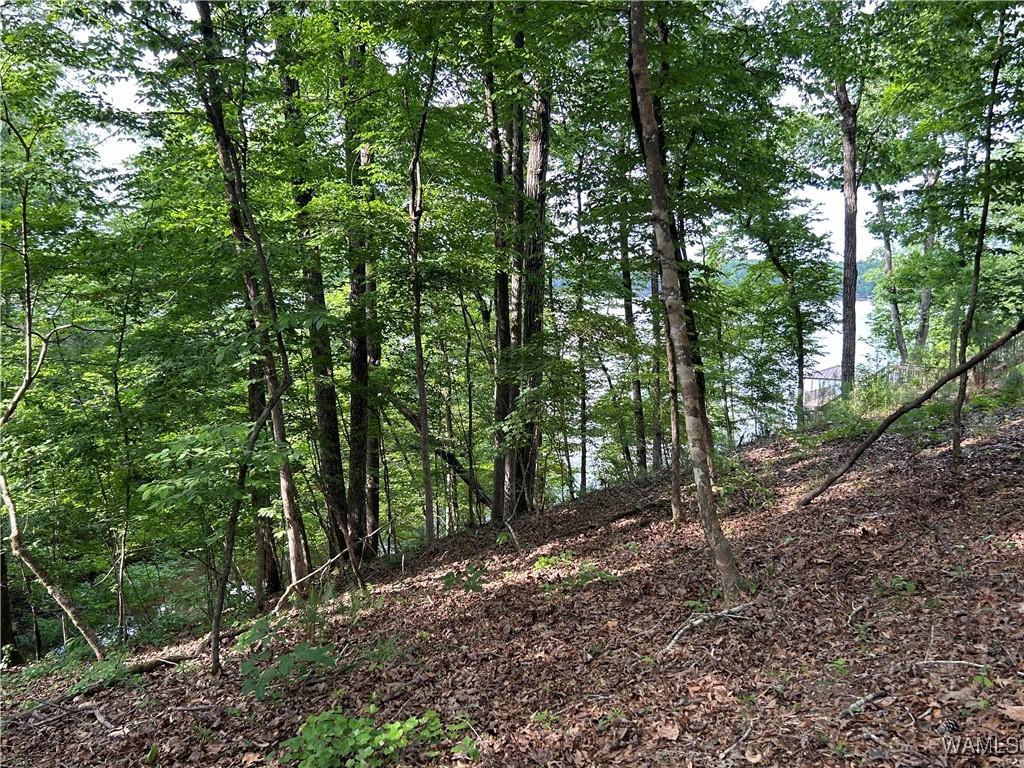 0LOT52 Highpoint Cv, Northport, AL 35475