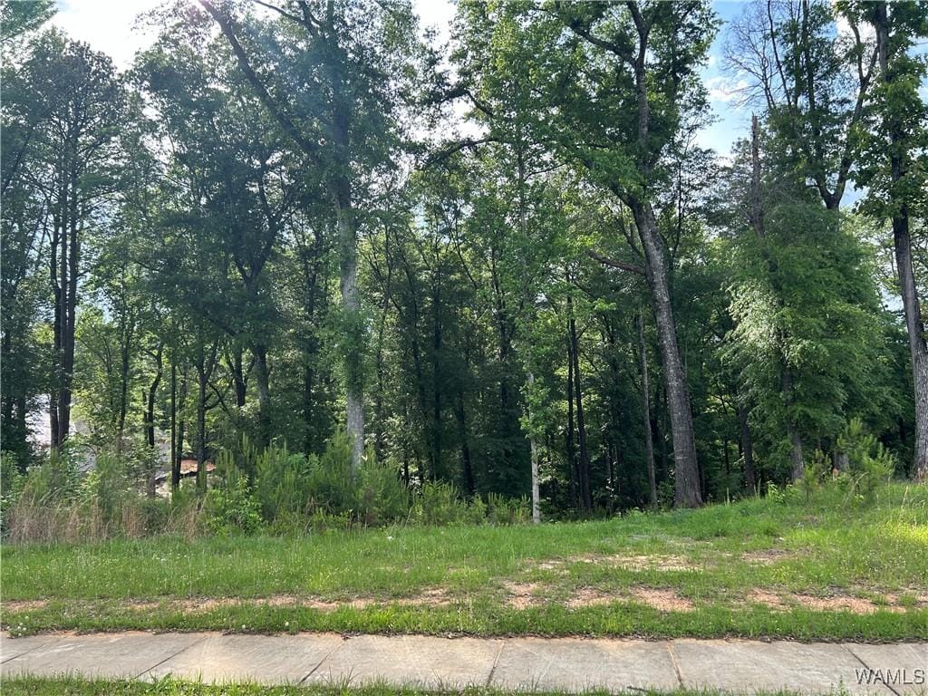 0LOT52 Highpoint Cv, Northport, AL 35475