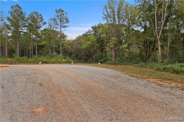 11 County Road 21, Moundville, AL 35474 - photo 3