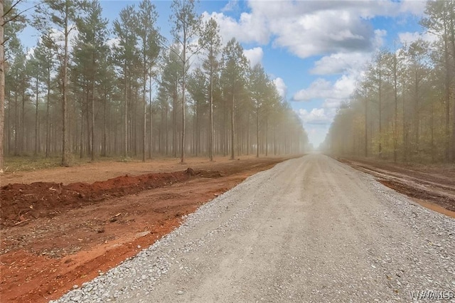 11 County Road 21, Moundville, AL 35474 - photo 5