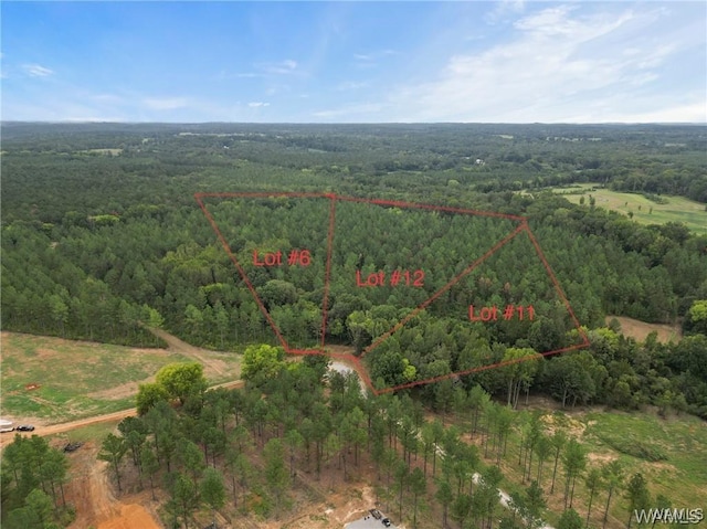 11 County Road 21, Moundville, AL 35474 - photo 7