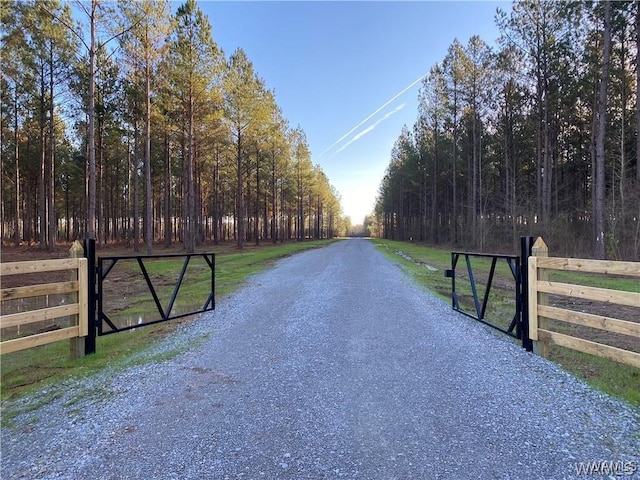11 County Road 21, Moundville, AL 35474 - photo 2