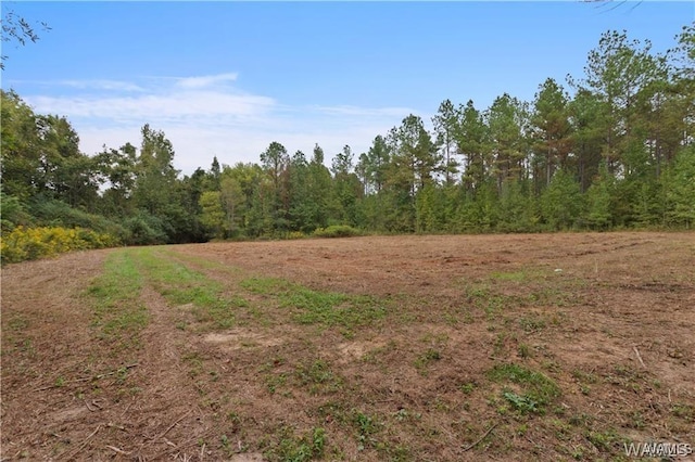 11 County Road 21, Moundville, AL 35474 - photo 9