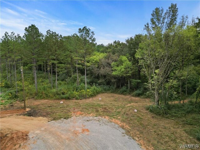 11 County Road 21, Moundville, AL 35474 - photo 8