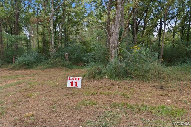 11 County Road 21, Moundville, AL 35474 - photo 6